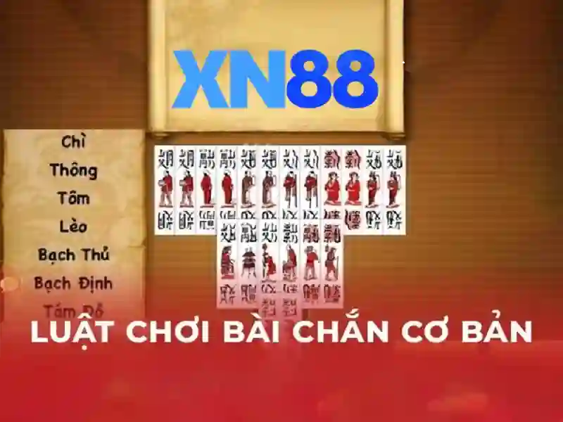 Kết luận và liên hệ
