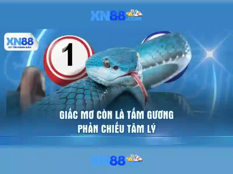 Các lĩnh vực liên quan
