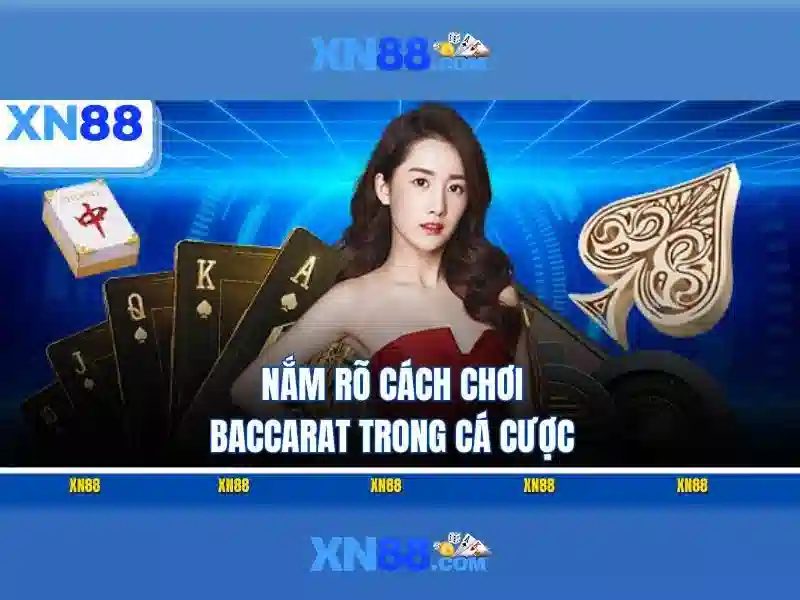 Giao diện nhà cái hoàn hảo