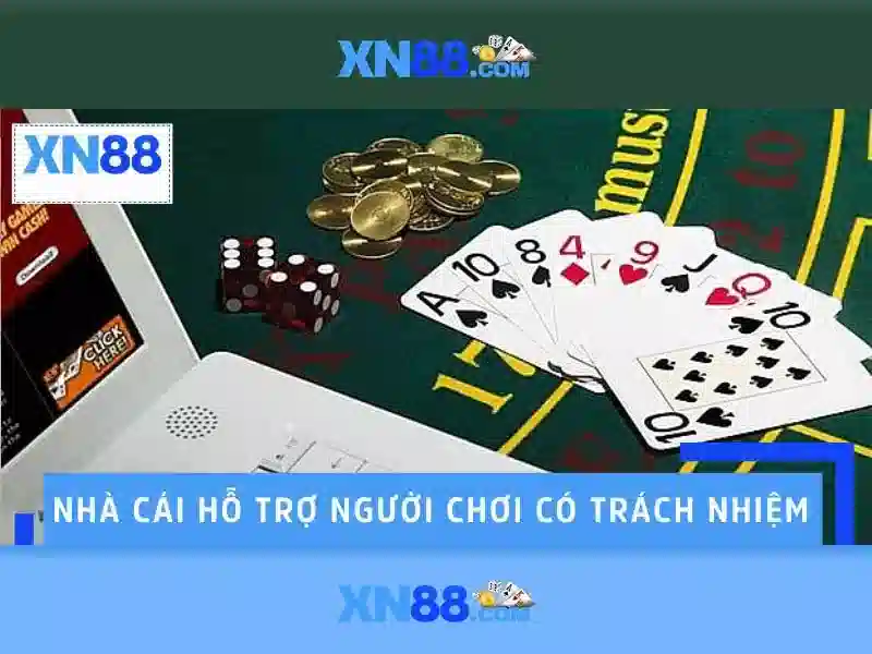 Trải nghiệm xn88 sa và phản hồi cộng đồng