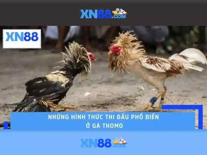 Công nghệ và an toàn\n\n<h4>Đánh giá và phạm vi pháp lý</h4>\n<p><span style=