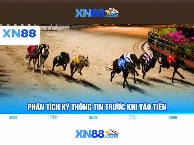 Lịch sử và nguồn gốc của xn88