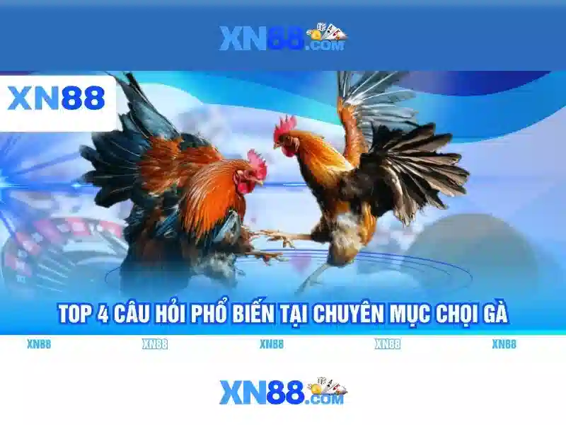 Giao diện nhà cái hoàn hảo
