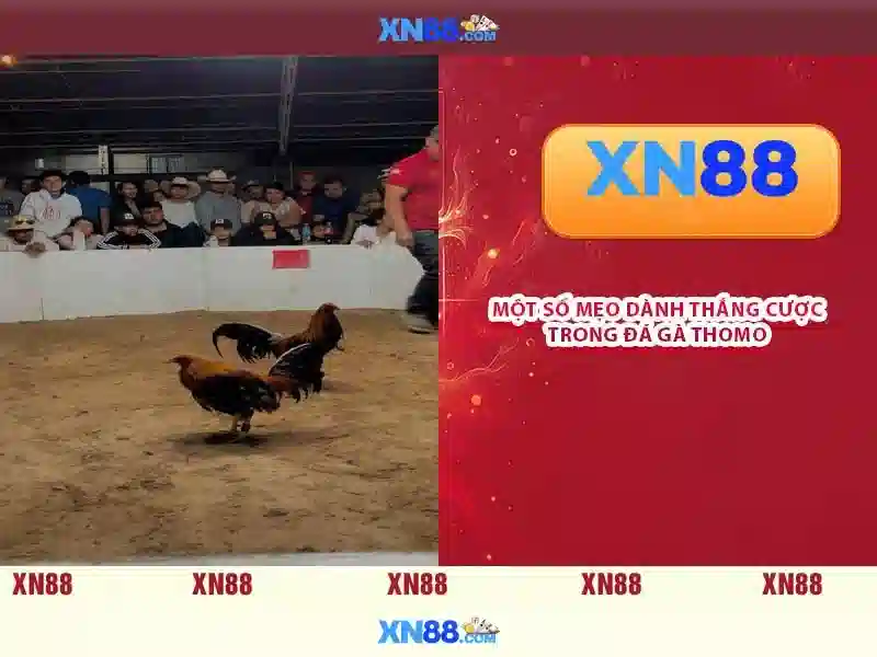 Giao diện nhà cái hoàn hảo
