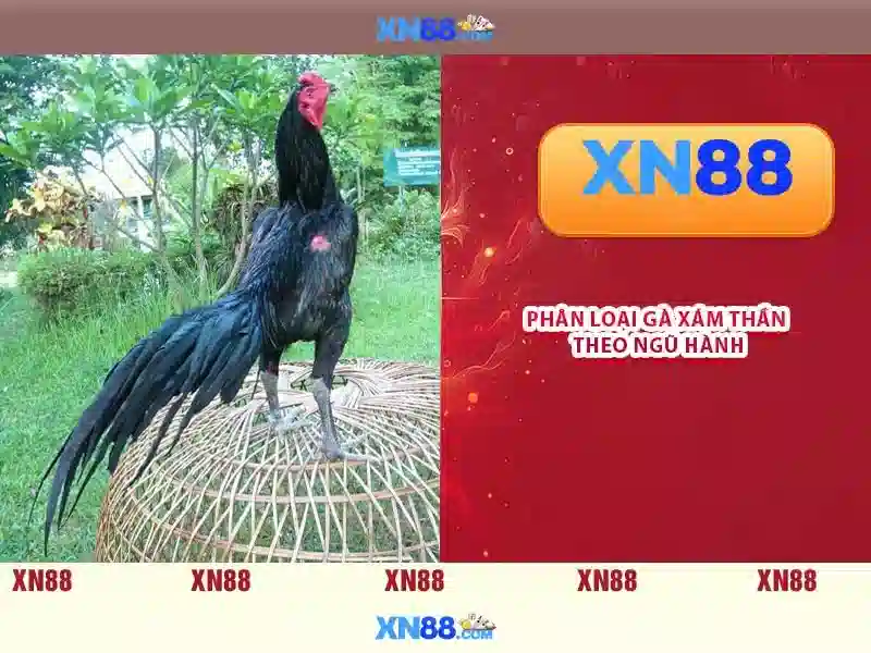 Các tính năng nổi bật