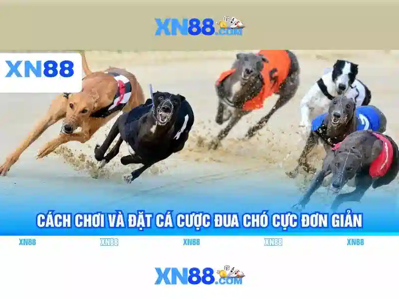 Nguồn gốc và sứ mệnh của game xn88