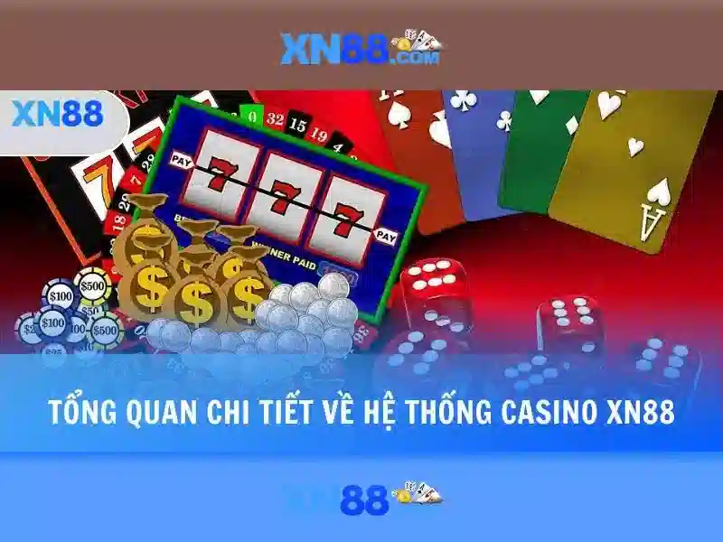Giao diện người dùng và trải nghiệm