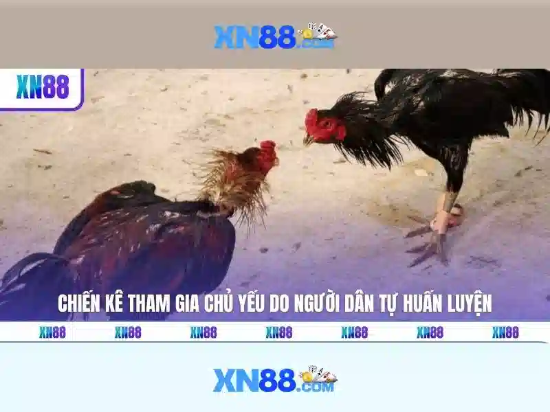 Giới thiệu xn88