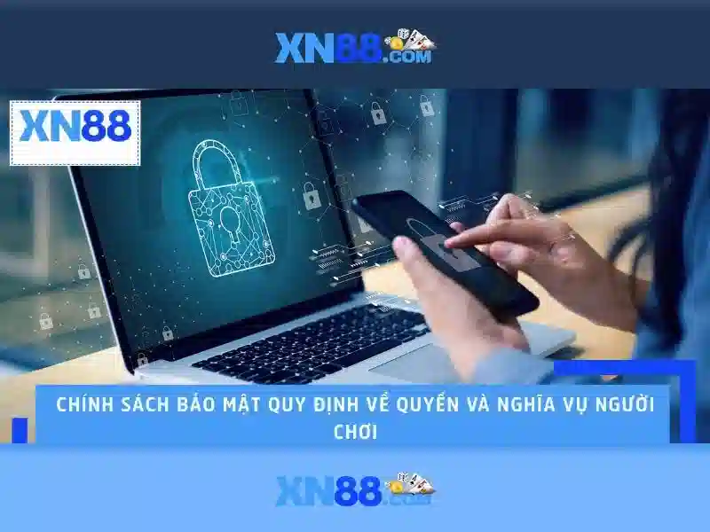 Nền tảng và sản phẩm chính