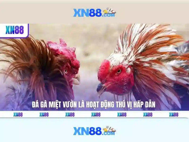 xn88 trang chủ – Tổng quan chủ đề và giá trị cốt lõi