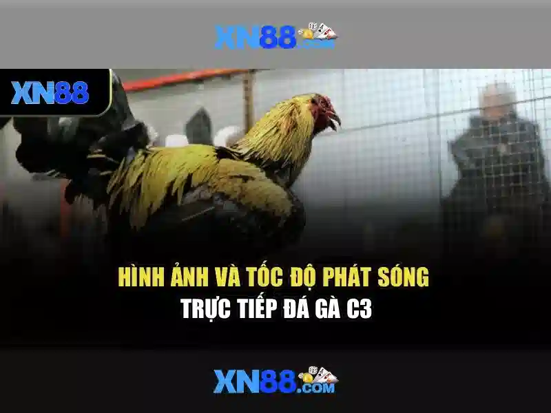 Giới thiệu về xn88