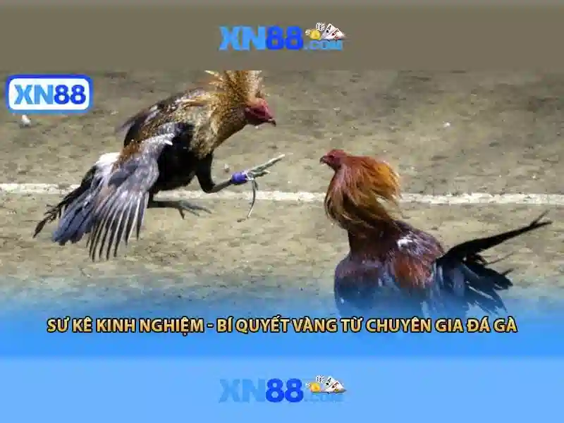 Lịch sử và cam kết bảo mật của XN88