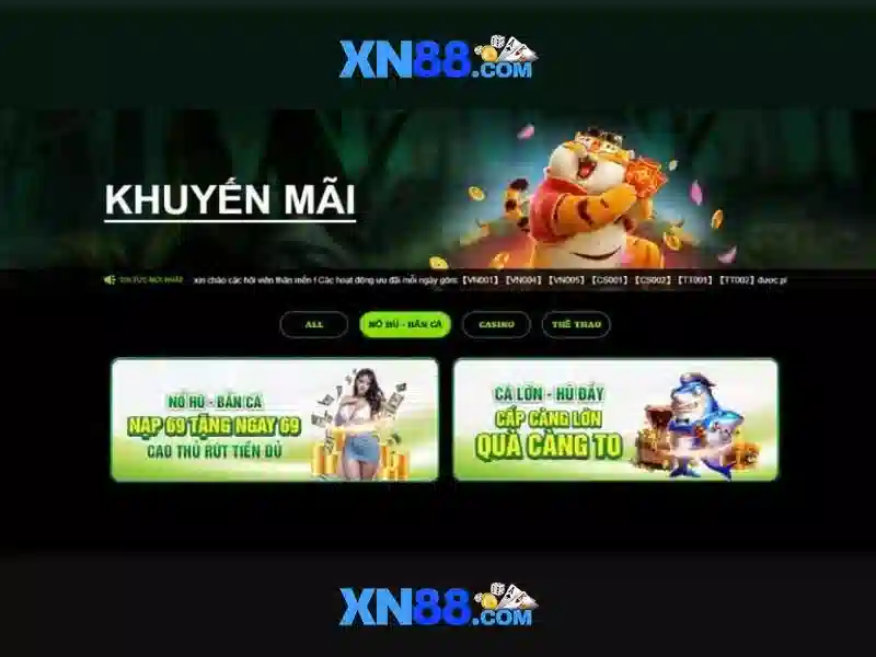 Kết luận