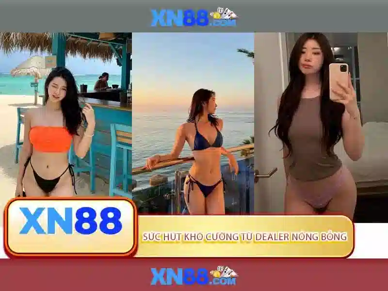 Kết luận về xn88