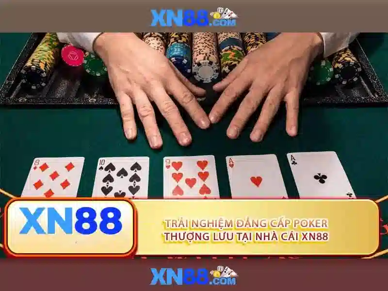 Giới thiệu về xn88