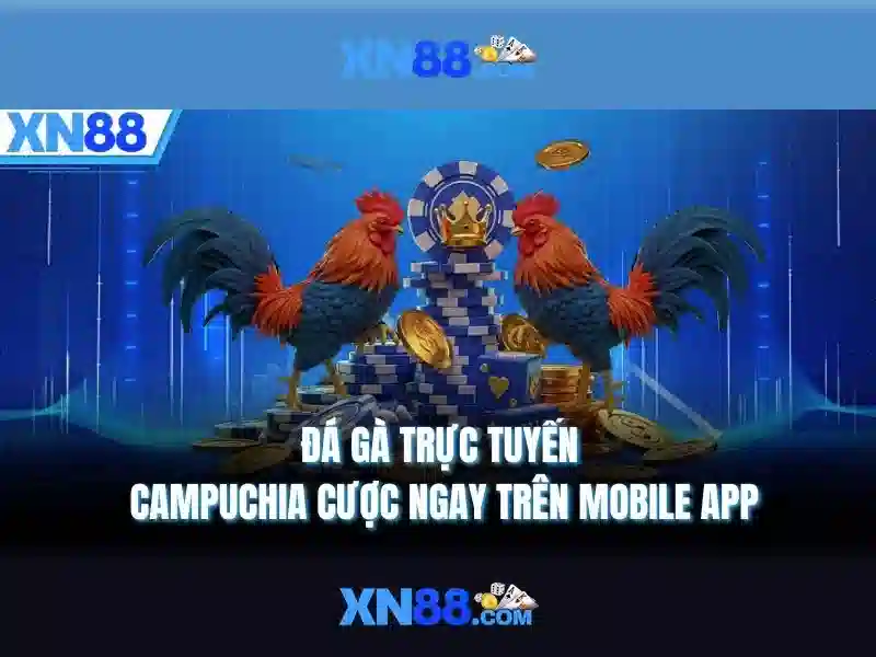 Trải nghiệm người dùng tại xn88