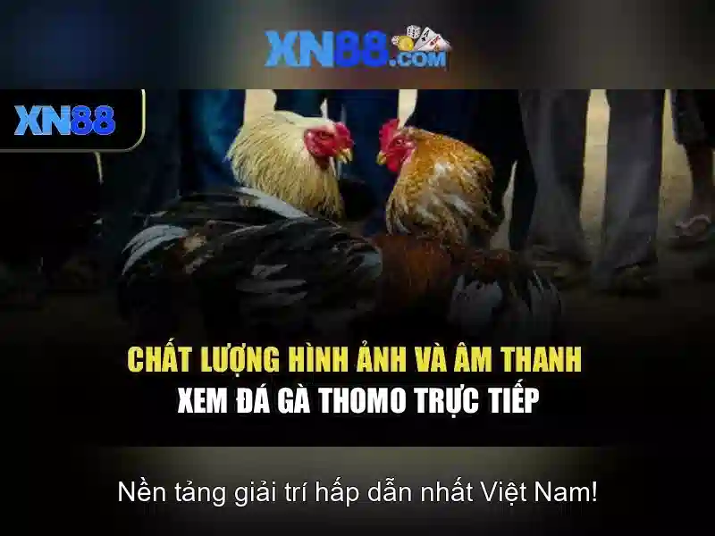 Hướng dẫn đăng ký và nhận thưởng