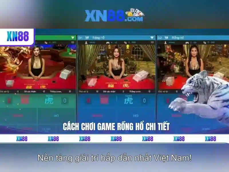Việc bắt đầu với xn88