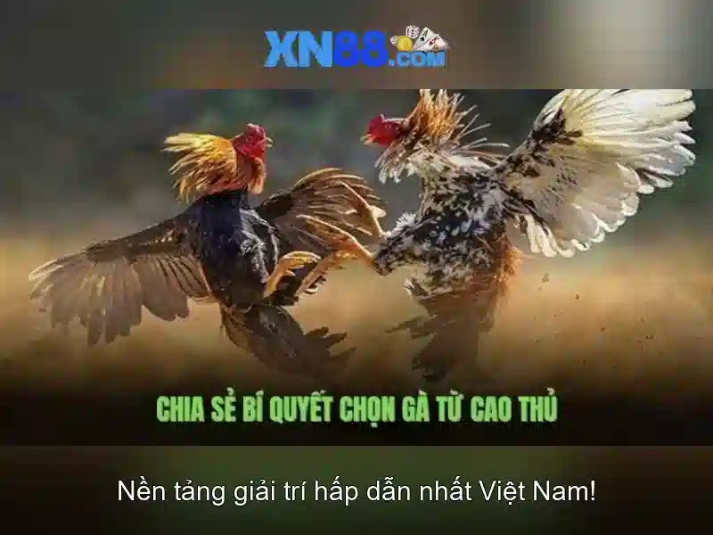 Thanh toán và thẻ cược