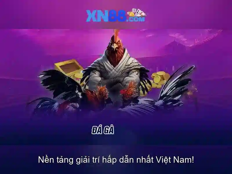 Giới thiệu xn88