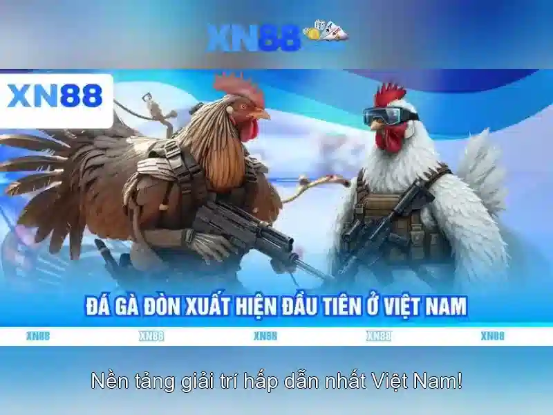 Tính năng nổi bật