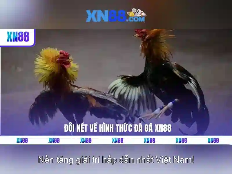 An toàn và bảo mật