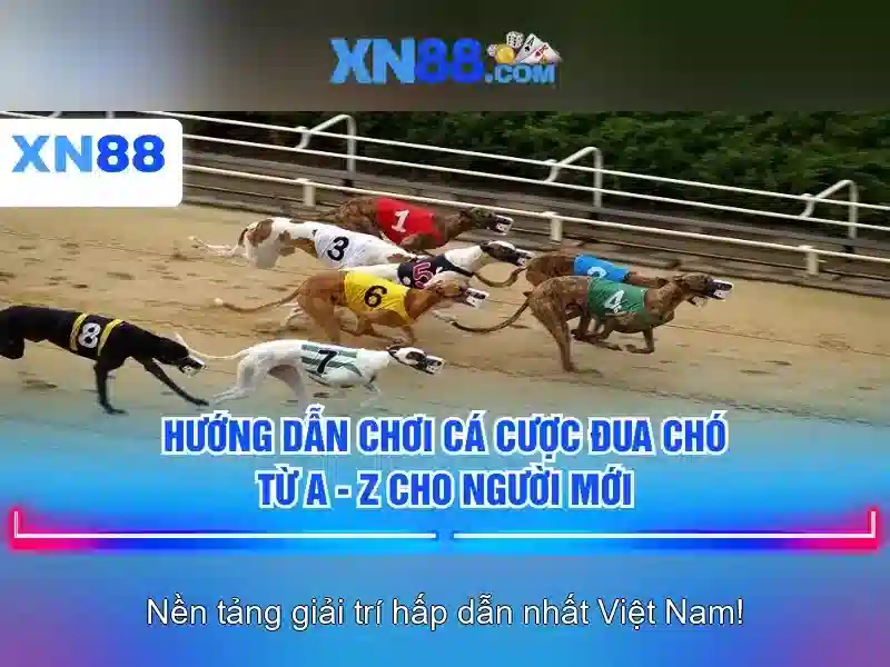 Giới thiệu xn88 app ios