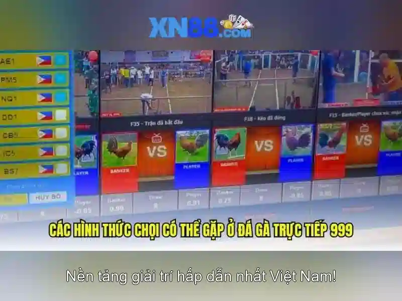 Trò chơi và khuyến mãi