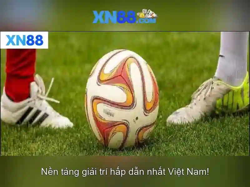 Các sản phẩm và dịch vụ