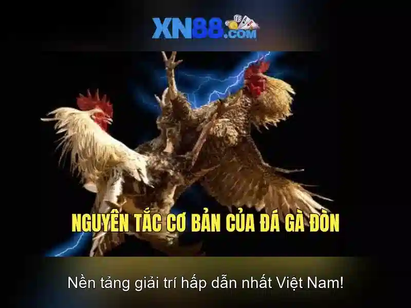 Giao diện nhà cái hoàn hảo
