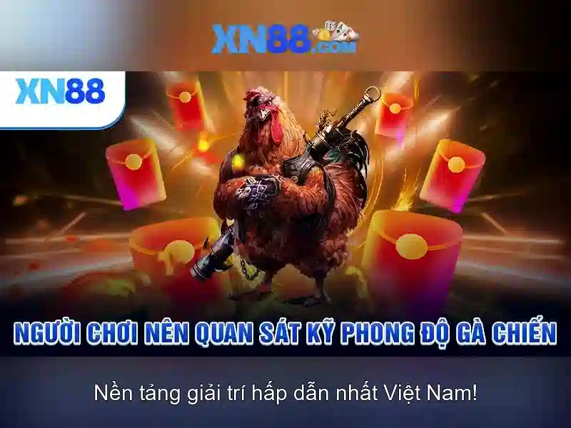 Giao diện nhà cái hoàn hảo
