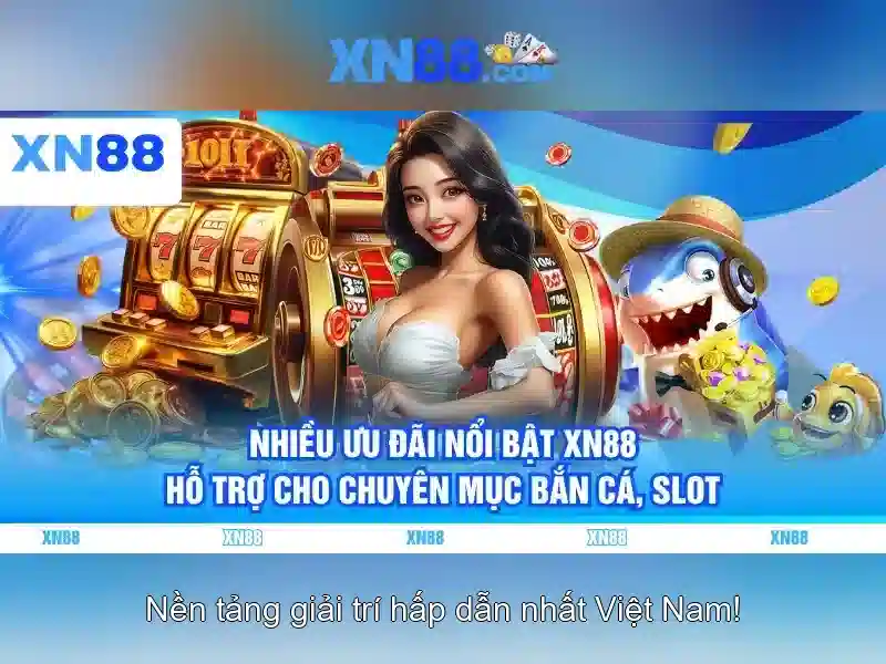 Lịch sử và định vị thị trường