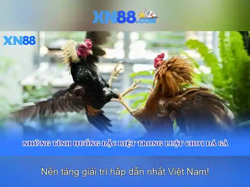 Định hướng của xn88