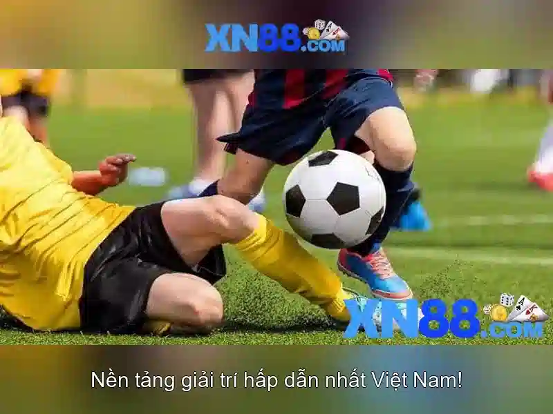 Giao diện nhà cái hoàn hảo