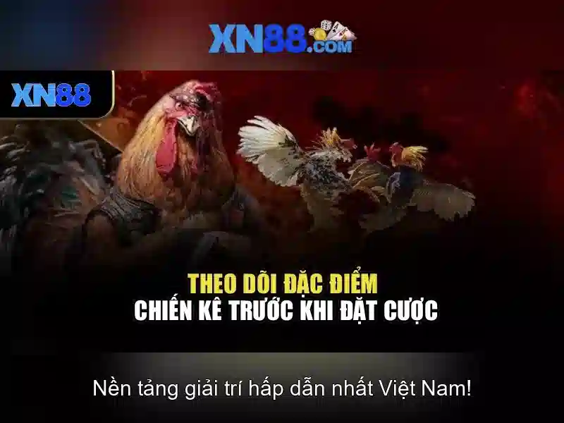Giao diện nhà cái hoàn hảo