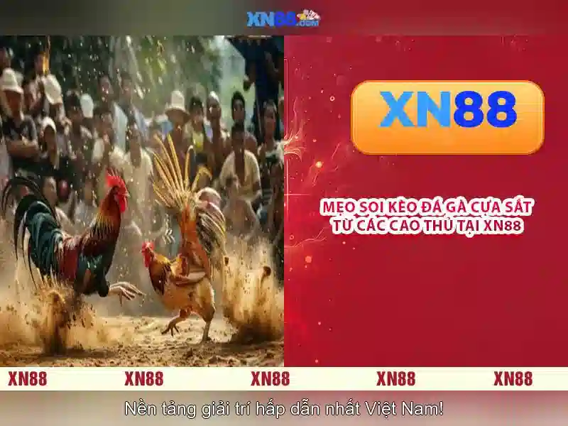 Giao diện nhà cái hoàn hảo