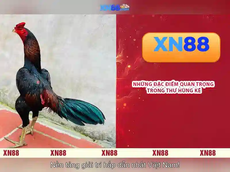 Giao diện nhà cái hoàn hảo
