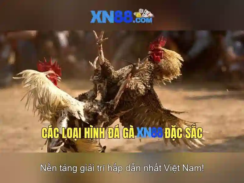 Giao diện nhà cái hoàn hảo