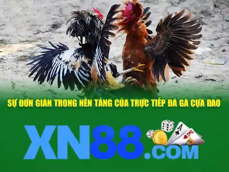 Hình ảnh liên quan đến xn88-m***.com